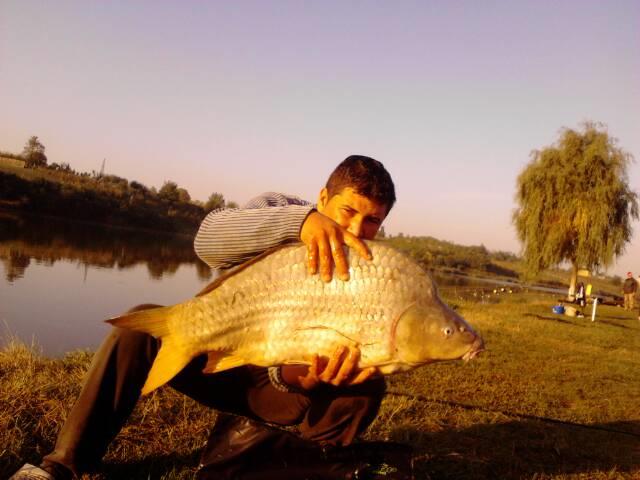 Moara vlasiei 2 - IMG_20120928_081821.jpg